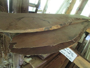 Spalted Maple