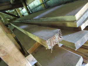 Mixed Hardwoods & Softwoods