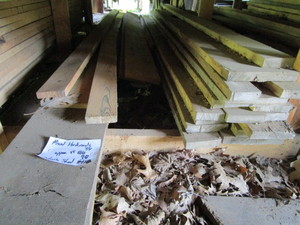 Mixed Hardwoods