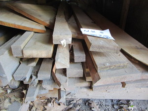 Red Oak