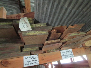 Red Oak