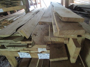 Hard Maple