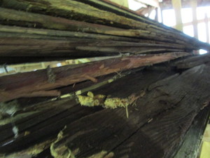 Barnwood - Reclaimed