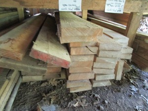 Mixed Hardwoods & Softwoods