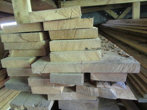 Mixed Hardwoods & Softwoods