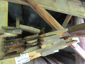 Basswood