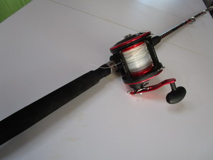 Shakespeare Ugly Stick