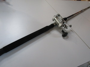 Shakespeare Ugly Stick, Garcia Reel