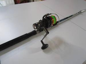 Shakespeare Tidewater Rod