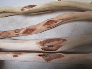Diamond Willow Walking Sticks