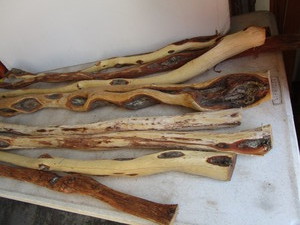Diamond Willow Walking Sticks