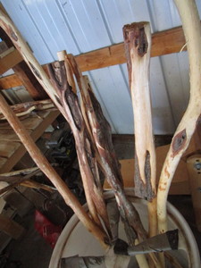 Diamond Willow Walking Sticks