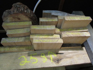 Hard Maple