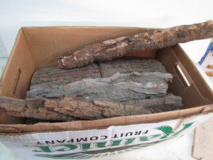 Cottonwood Bark