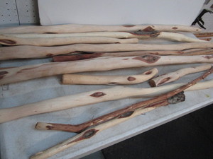 Diamond Willow Walking Sticks