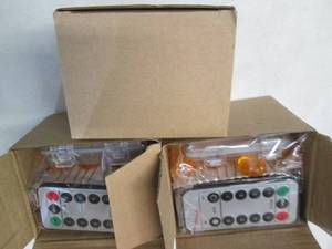 lot 381 image: 3- 30 Pumpkin Mini Lights with Remo...