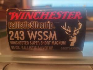 Winchester 243 WSSM Ballistic Silvertip Super Short Magnum