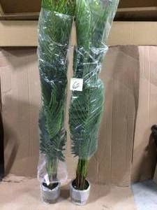 Gilliam 5 ft. Green Artificial Palm Tree Customer Returns See Pictures&nbsp