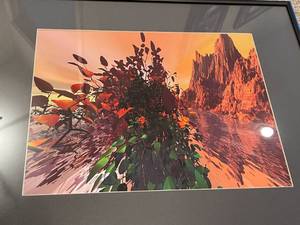 lot 82 image: Floral Canyon Framed Art by Jesse Shakespear