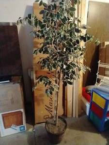 Decorative Plastic Tree