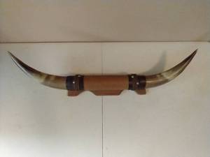 Mounted Bull Horns