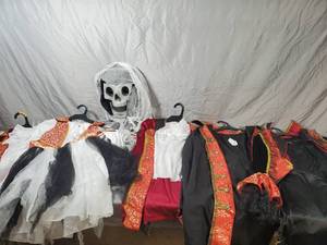 lot 108 image: New Halloween Costumes for The Family and More