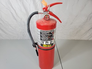 lot 40 image: 10 lb Ansul Sentry Fire Extinguisher