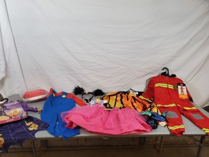 lot 126 image: New Halloween Costumes and More