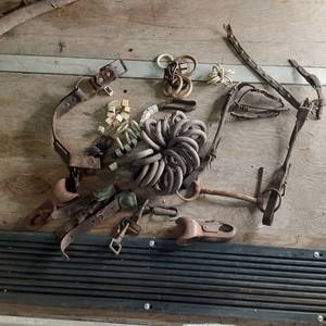 lot 247 image: Misc. Horse Implementation Items S...