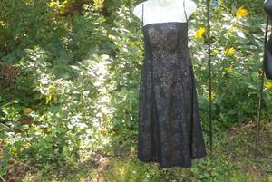 lot 19 image: Strapless Formal size 2...