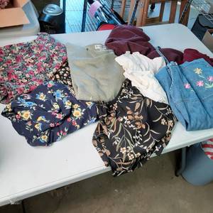 lot 214 image: Womens size 1x clothing from the Dr...