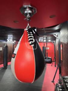 lot 4 image: Ringside Professional  Commercial-Grade Speedbag Boxing Punching Kickboxing Speed Bag with Heavy Duty Floor Stand