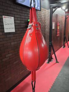 lot 6 image: Cleto Reyes Double-End Boxing Punching Bag with Commercial-Grade Heavy Duty Floor Stand