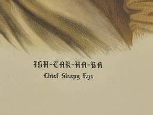 lot 371 image: Chief Sleepy Eye Framed Print