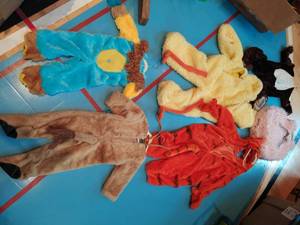 Huge Collection of Childrens Costumes
