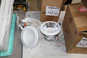 lot 542 image: Lighting Fixtures and Accessories, Luminaire Conversion Kits