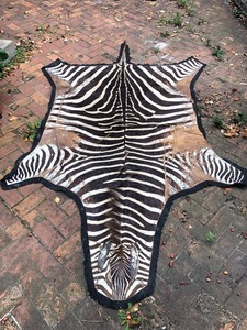 lot 120 image: Large Vintage Genuine Zebra Hide Rug 