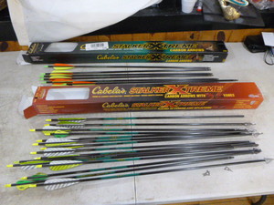 lot 6 image: Cabelas Stalker Xtreme Carbon Arrows