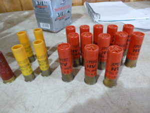 lot 55 image: 12 Gauge Shotgun Shells
