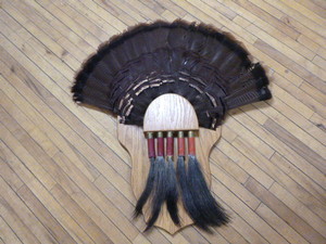 lot 130 image: Mounted Turkey Feathers