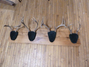 lot 131 image: 4 Mounts Sets of Deer Antlers