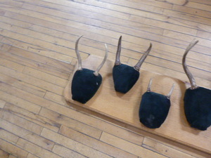 lot 136 image: 7 Mounted Antlers