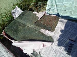Shingles