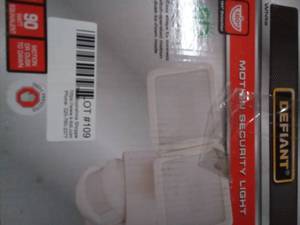 Motion security light