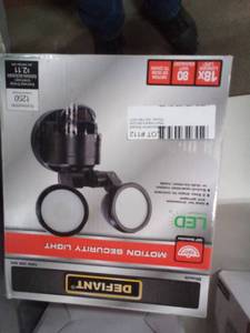 Motion security light