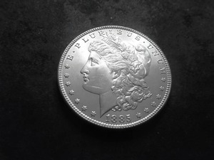 1885 Morgan Silver Dollar
