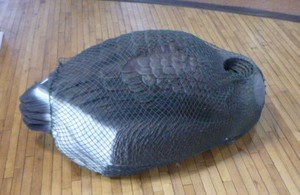 lot 111 image: 6 Good Decoys
