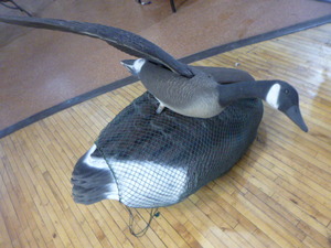 lot 113 image: 6 Good Decoys