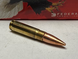 lot 3-K image: (20) Rounds Federal American Eagle ...