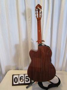 Lucero Electric Guitar
